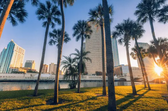 Tampa Florida therapy